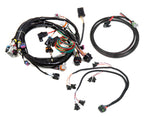 GM LS 24X EFI Harness Kit image 2