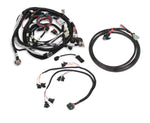 GM LS 58X EFI Harness Kit image 2