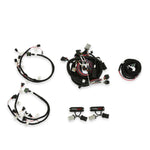 Ford Modular 2 Valve EFI Harness Kit image 1