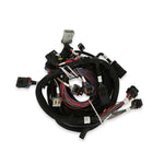 Ford Modular 2 Valve EFI Harness Kit image 3