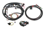 Universal Ford V8 Harness Kit image 3