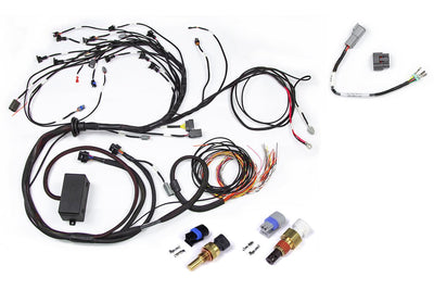 RB Twin CAM Main Harness, CAS Breakout, No Ignition Breakout