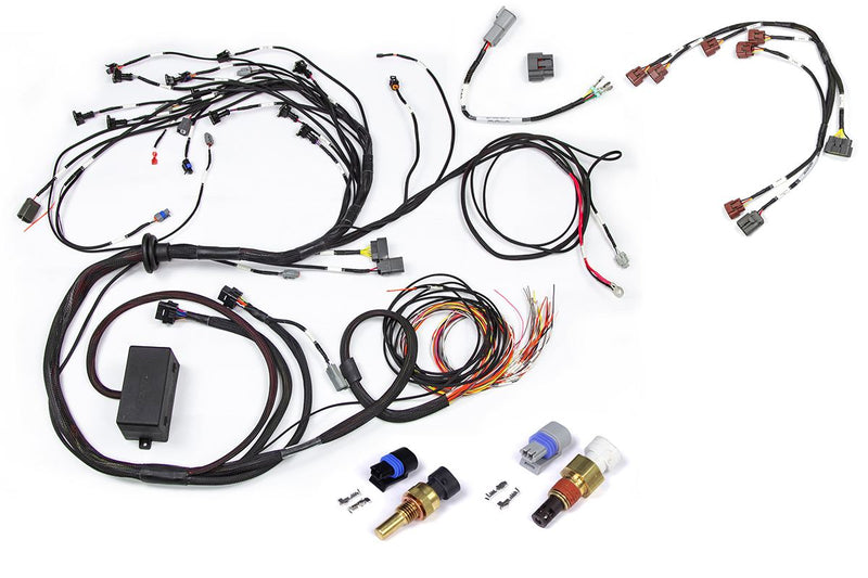 RB Twin CAM Main Harness, CAS Breakout, Early Ignition