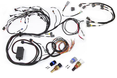 RB Twin CAM Main Harness, CAS Breakout, Late Ignition