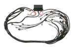Elite 2000/2500 GM GEN III LS1 non DBW Term Harness Only EV1 image 4