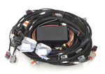 Elite 2500 GM GEN III LS1 (DBW Ready) Term Harn Only - EV1 image 2