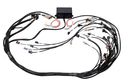 HT-141367 Elite 2500 GM GEN IV LS2 DBW Ready Term Harn Only - EV6