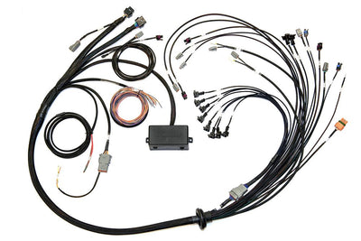 HT-141376 Elite 2500/2500 T V8 GM, Ford & Chrysler Term Harn Only EV1