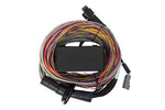 Elite 550 + Premium Universal Wire-in Harness Kit 2.5m (8’) Length: 2.5m (8) image 4