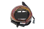 HT-150604 Elite 750 + Premium Universal Wire-in Harness Kit 2.5m (8Ã¢â¬â¢) Length: 2.5m (8) image 5