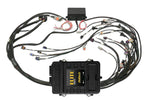 Elite 2500 GM GEN III LS1 non DBW Terminated Harness Kit EV1 image 2