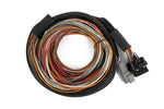 IO16 Universal Wire in harness 2.6M (8.5) image 1