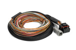 IO16 Universal Wire in harness 2.6M (8.5) image 2