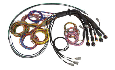 Nexus R5 Universal Wire-In harness - 2.5M (8) Length: 2.5M
