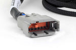 Nexus Universal V8 - Junior Timer (EV1) Injector Primary Breakout image 3