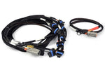 Nexus V8 IGN-1A Ford Harness image 1