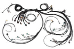 HT-186205 Nexus R5 LSx DBW Terminated Harness image 1