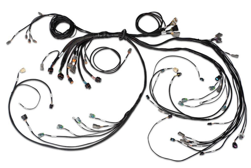HT-186205 Nexus R5 LSx DBW Terminated Harness