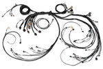 Nexus R5 LSx Non DBW Terminated Harness image 2