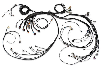 HT-186206 Nexus R5 LSx Non DBW Terminated Harness