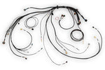 HT-186500 Nexus Rebel LS Main Terminated Harness image 1
