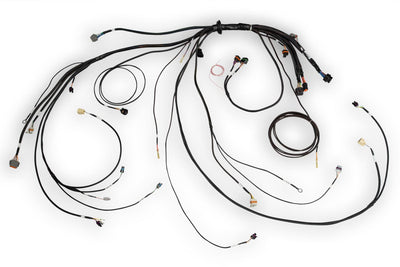 HT-186500 Nexus Rebel LS Main Terminated Harness