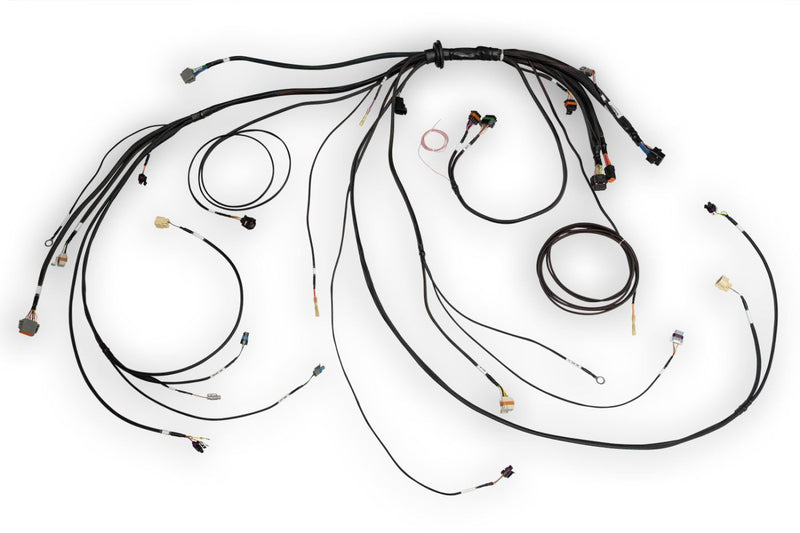 HT-186500 Nexus Rebel LS Main Terminated Harness