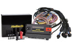 HT-195201 Nexus R5 + Universal Wire-in Harness Kit - 5M (16) Length: 5m (16) image 1