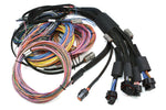 HT-195201 Nexus R5 + Universal Wire-in Harness Kit - 5M (16) Length: 5m (16) image 2