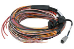 HT-198201 PD16 PDM + Flying Lead Harness (5M) image 2