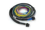 Nexus S2 ECU + Universal Wire-in Harness - 2.5m (8) image 5