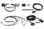 Rebel LS Kit - Suits Gen IV - 6-pin DBW, EV6 Injectors, Manual Transmission image 2