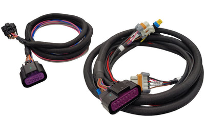 Replacement Harness - MSD 6014 LS Control