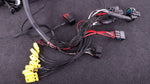 Terminated engine harness - GM LS GEN III/IV including MaxxECU RACE kit image 1
