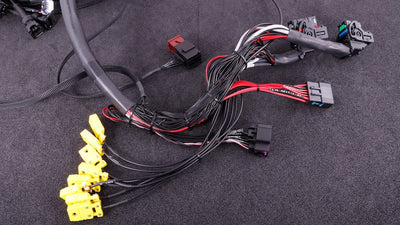 Terminated engine harness - GM LS GEN III/IV including MaxxECU RACE kit
