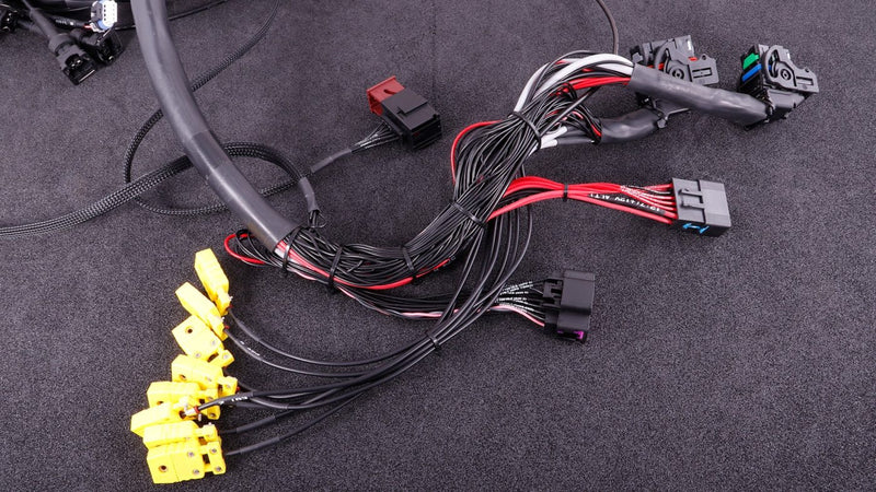 Terminated engine harness - GM LS GEN III/IV including MaxxECU RACE kit
