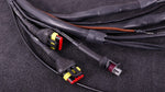 Terminated engine harness - GM LS GEN III/IV including MaxxECU RACE kit image 3