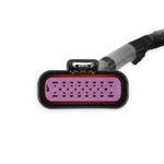 Sniper 2 PDM Main Harness image 2