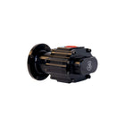 Waterman Racing Nostalgia Bertha Pump, 3/8 Hex, Steel Center - 23 GPM (1.000) / Standard Rotation / 4 Bolt image 2