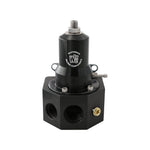 Waterman Racing EFI Billet Regulator image 1