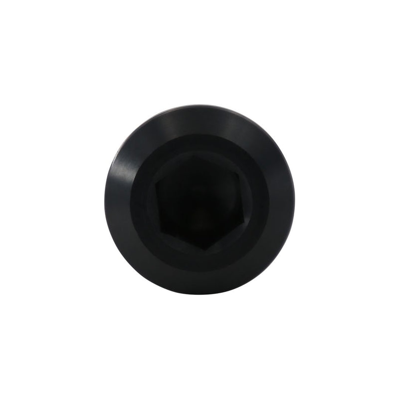 Waterman Racing Plug Fitting - AN-10
