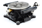 Engine Control System, XFI Street W/ Ez-efi Fuel Throttle Body image 1