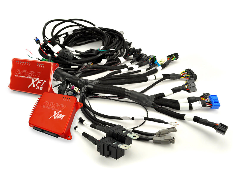 Wiring Harness, Fast XFI Main, Ford Scj Modular