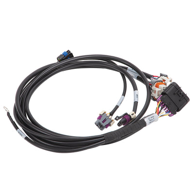 Fuel Injection Harness #35714 For Chevrolet LS Gen IV