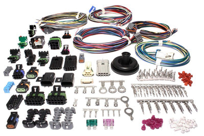 Wiring Harness, Fast XFI Main Universal
