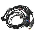 Pro-Flo 4+ EFI Engine Management System #36160 for 2015-17 Ford Coyote image 5