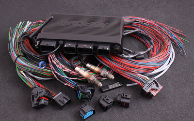 MaxxECU Ford Mustang GT V8