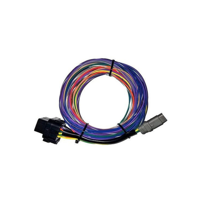 IQ3 STREET DASH HARNESS