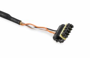 Holley EFI - CAN Adapter Harness, 4' 558-452 - Image 3