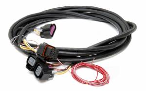 Chevy Harnesses - LS Harnesses - Holley EFI - Dominator EFI GM Dual Drive-By-Wire Harness 558-411